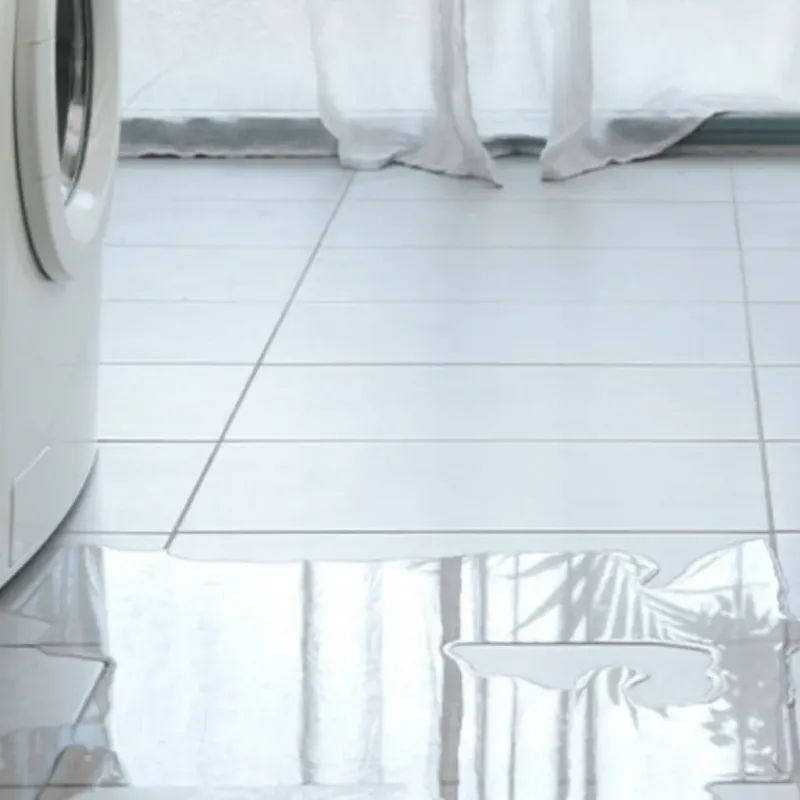 Appliance Leak Cleanup in Treutlen County, GA