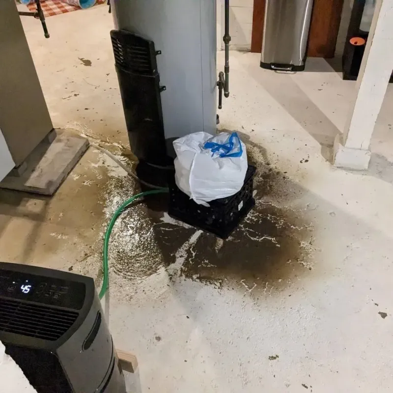 Sewage Backup Cleanup Service in Treutlen County, GA